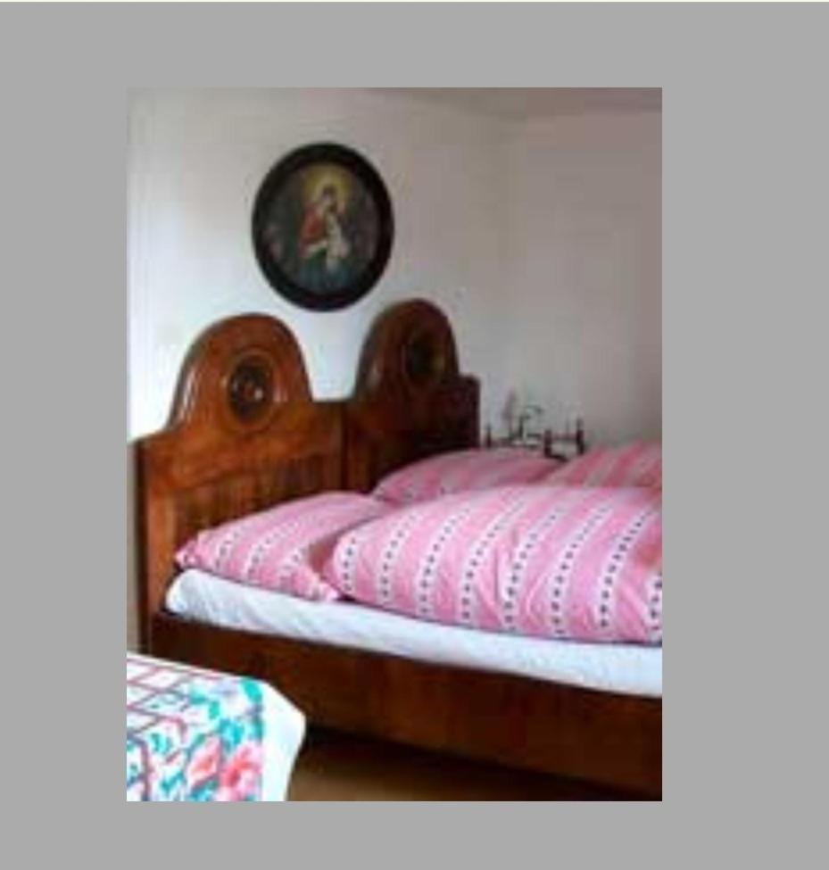 Dum U Giordanu Apartment Slavonice Ngoại thất bức ảnh